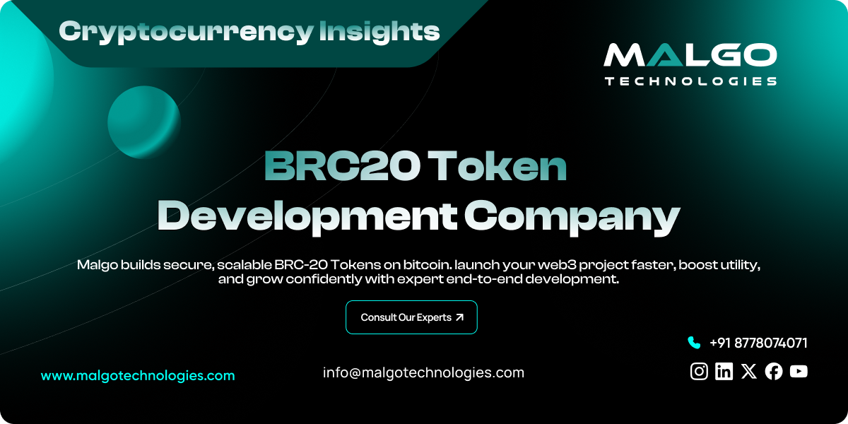 BRC20 Token Development