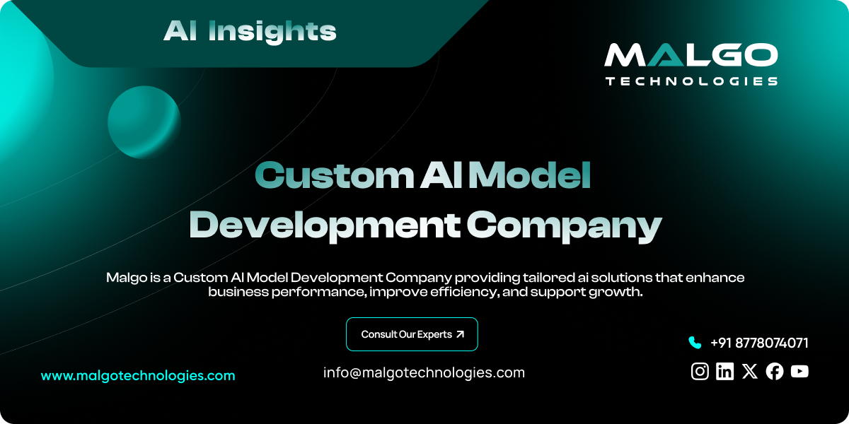 Custom AI Model Development