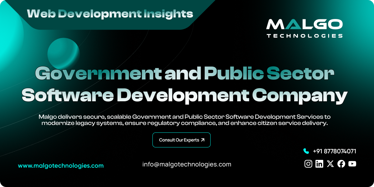 Government and Public Sector Software Development