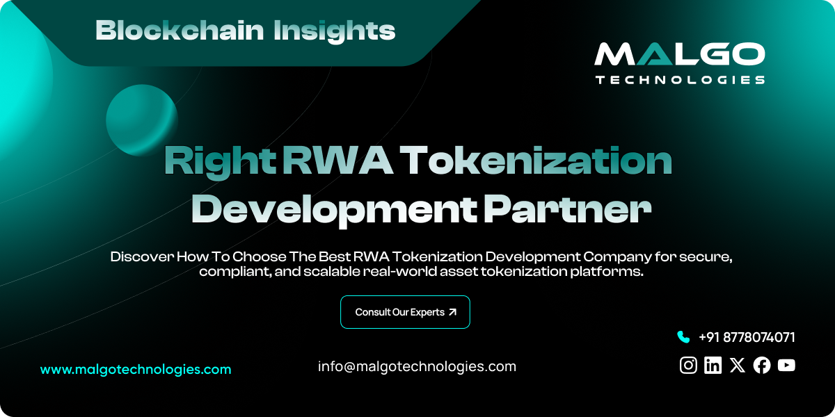 Choosing the Right RWA Tokenization Company