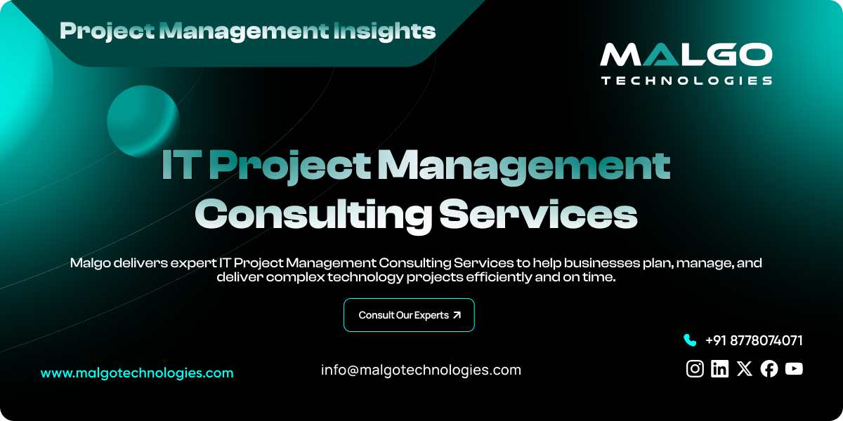 IT Project Management Consulting IT Project Management Consulting