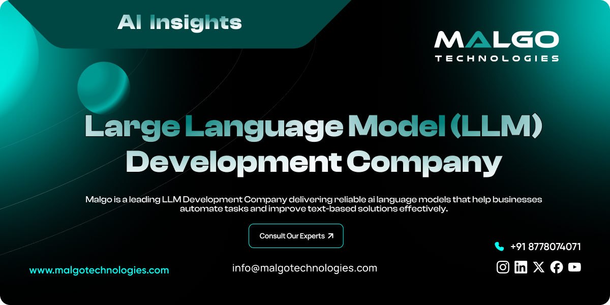 LLM Development