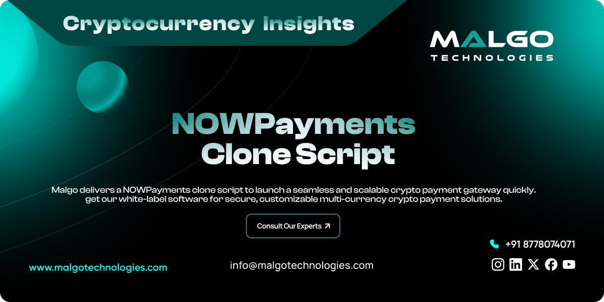 NOWPayments Clone Script