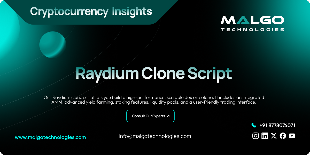 Raydium Clone Script  