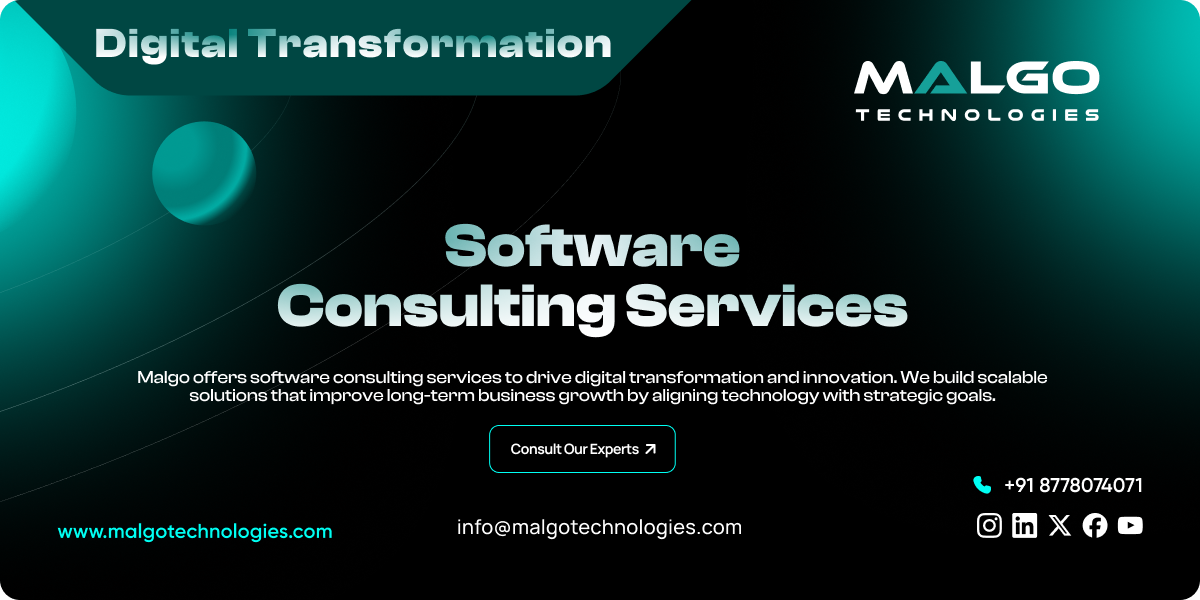 Software Consulting Services Software Consulting Services