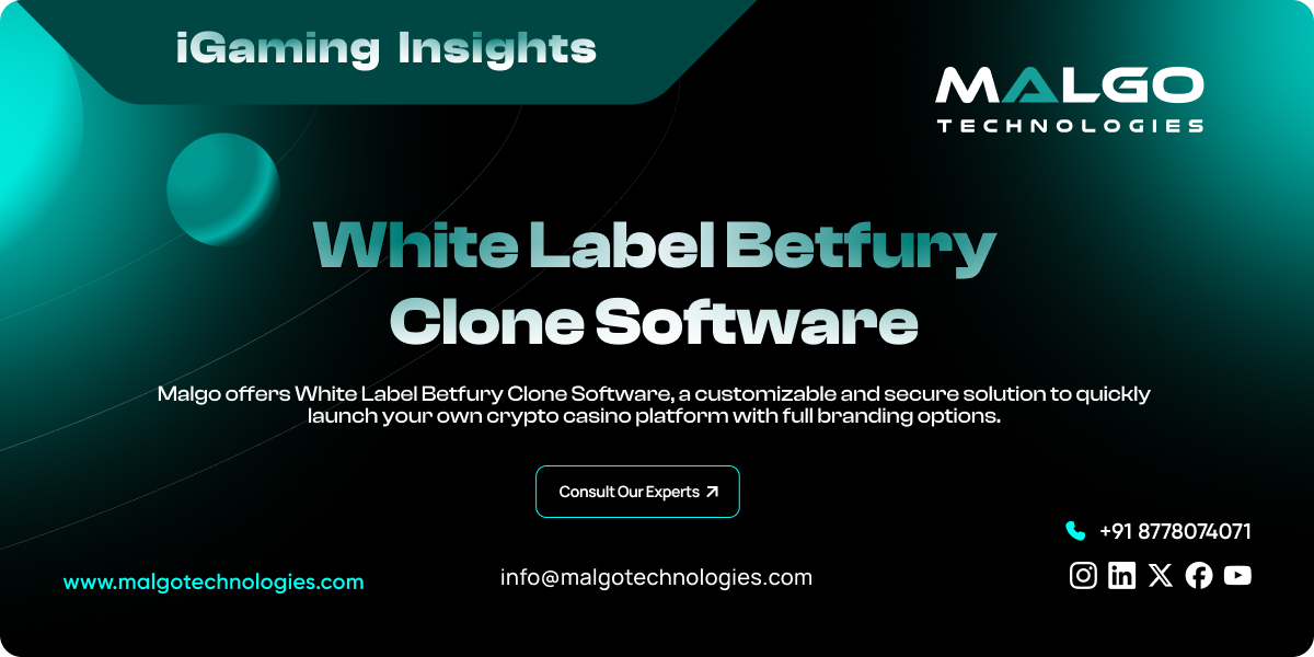 White Label Betfury Clone Software