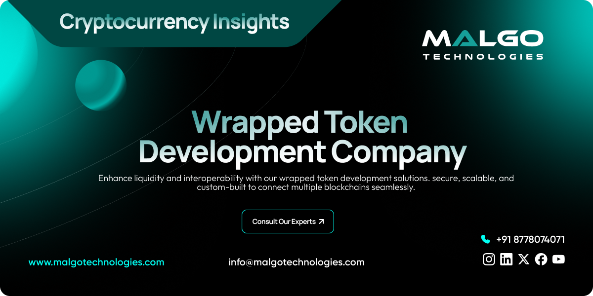 Wrapped Token Development